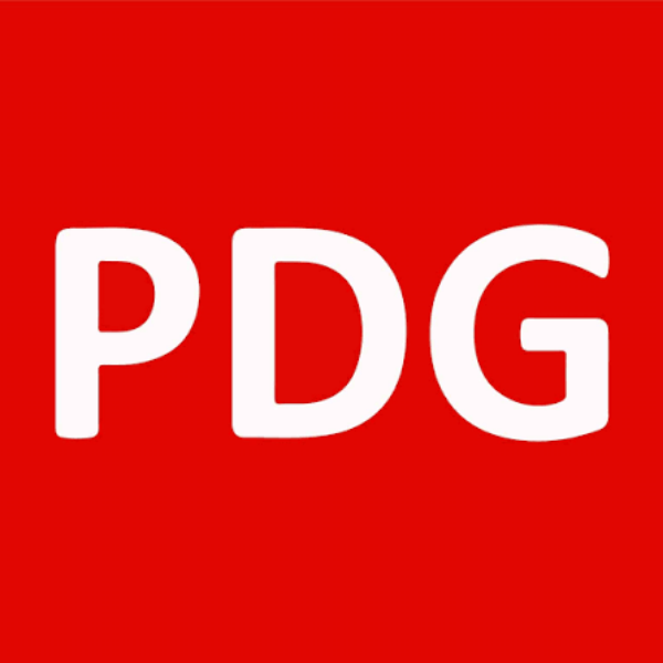 PDG logo